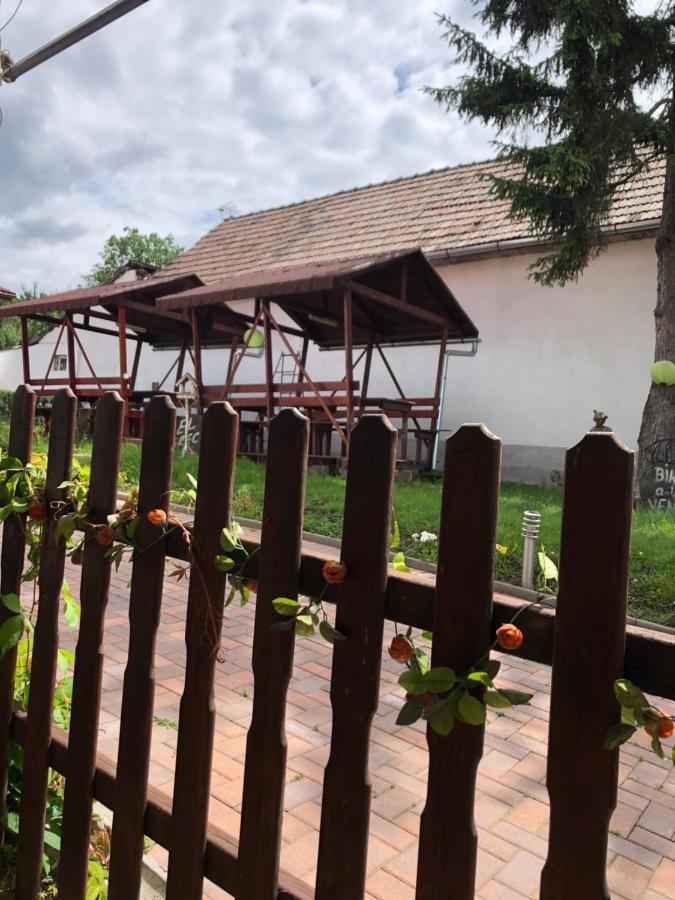 Pensiunea El Greco Axente Sever Екстер'єр фото